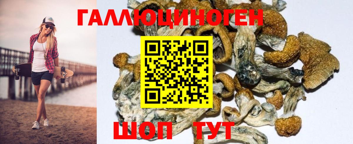 Галлюциногенные грибы Psilocybe  Вход с VPN  Канск  купить наркоту  Галлюциногенные грибы Cubensis 