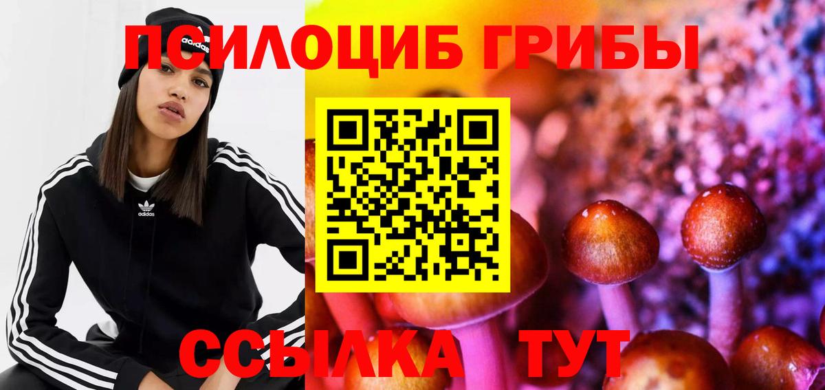 Псилоцибиновые грибы ЛСД Канск